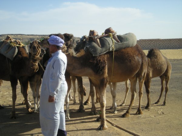 mohammed the camel tamer