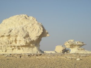 white desert 175