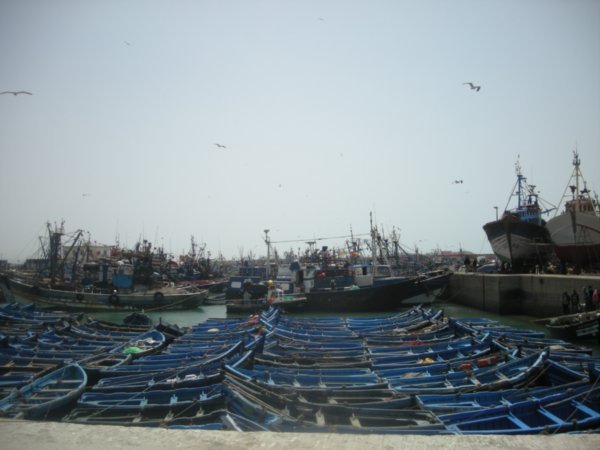 the dock full of blue boats
