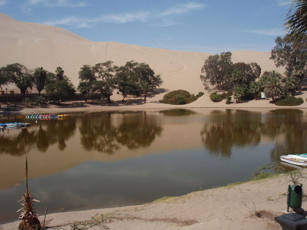 Sand dune reflection