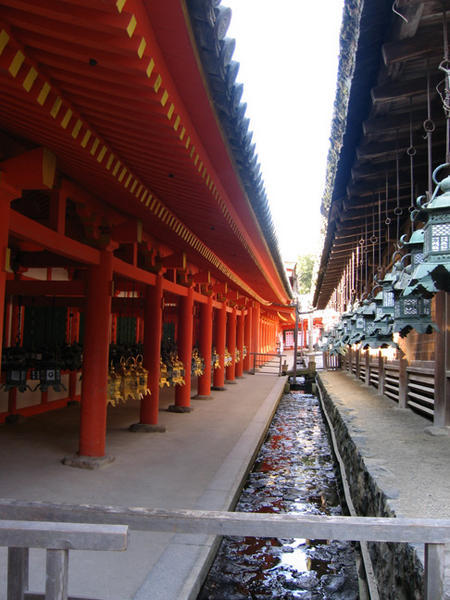 Inside Kasuga Taisha Shrine