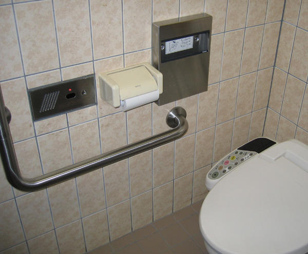 Hi-tech Japanese Toilet