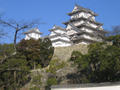 Himeji castle