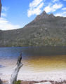 The crow at cradle mountain