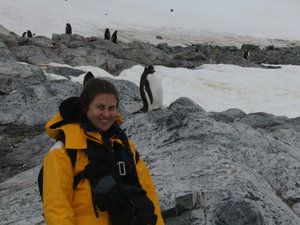 More penguins! (With a big yellow penguin)