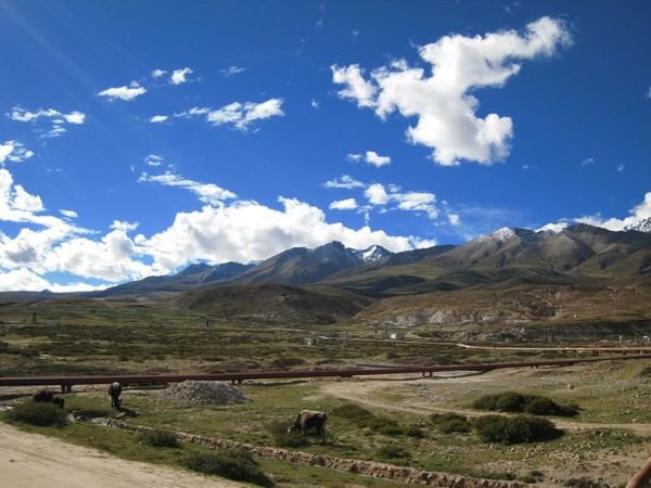 On a Back Road in Tibet