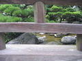 Japanese Garden, Ohori Park