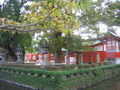 beautiful shrine in saga