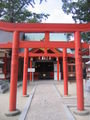 saga shrine