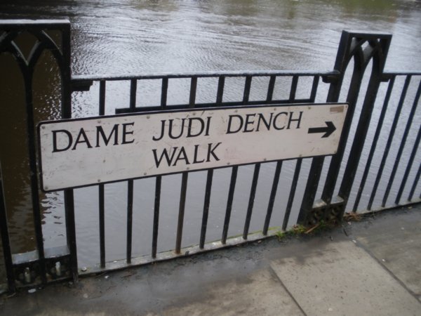 Dame Judi Dench Walk