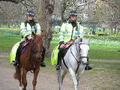 Police Officers & Police Horses!