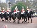 The Queen's Horse Guards