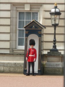 Guard at Buckingham Palace