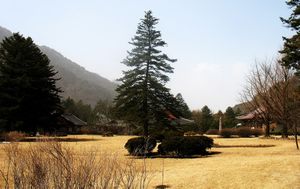 Mount Myohyangsan