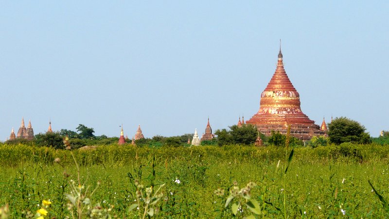 Bagan  