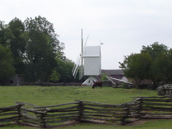 Buccolic Windmill Scene