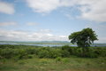 Swaziland Landscape