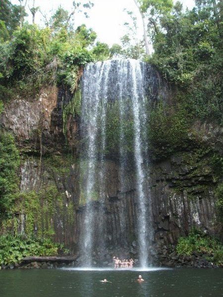 Beautiful waterfall in the Atherton Tablelands