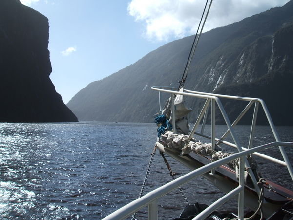 overnight boat cruise on Milford Sound