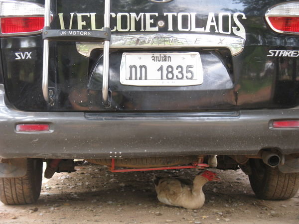 Welcome to Laos...!
