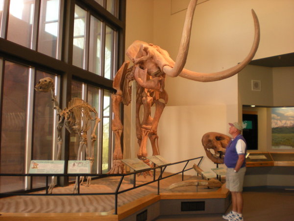 NM Museum of Natural History