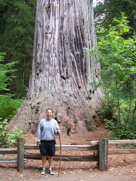 Me in front of Big Tree (that's what it's called)