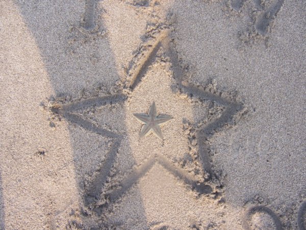 Estrella Del Mar