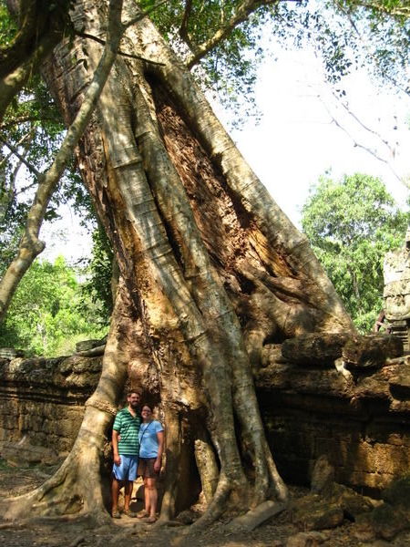 Angkor Temples - Ta Prohm
