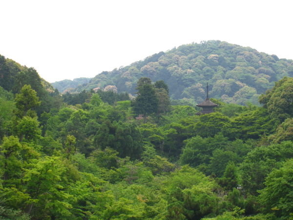 Kyoto - Kiyomizudera Temple