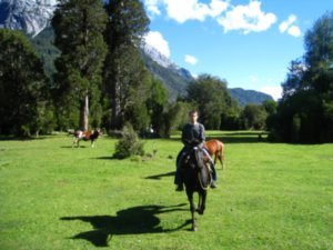 Horse Trek - La Junta
