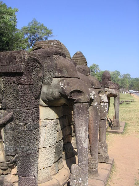 Terrasse of the elephant
