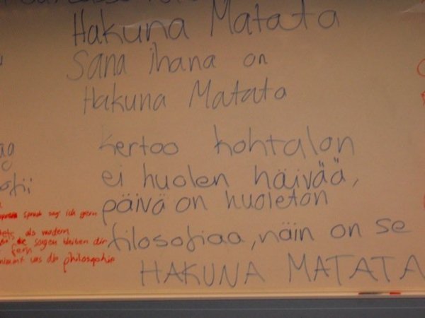 more Hakuna Matata!