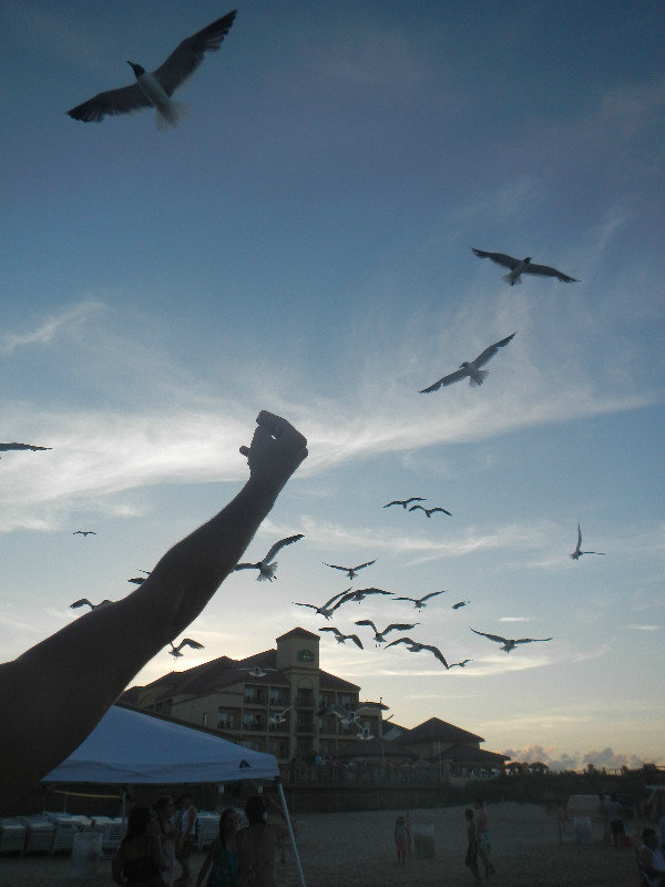 South Padre Island