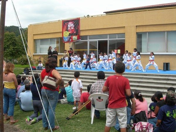 Karate demo at the school fair