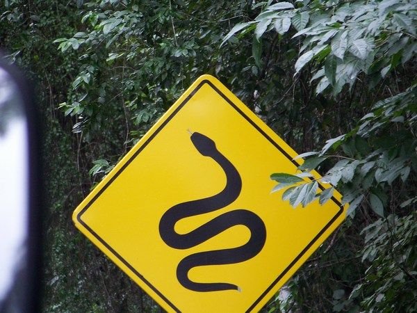 Road signs of Tikal