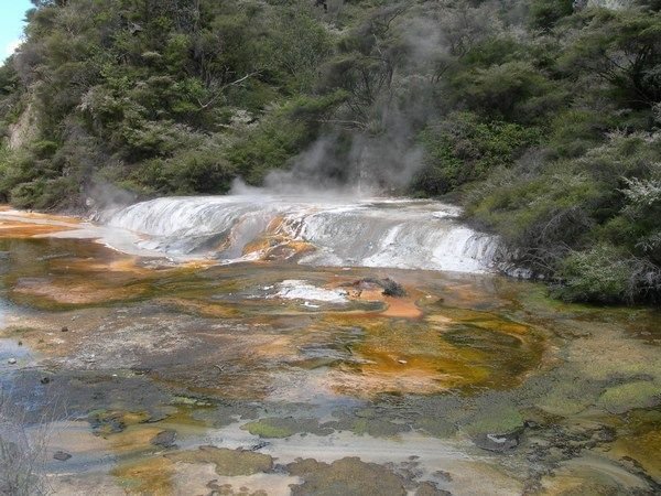 Water bubbling up at Waimangu Volcanic Valley