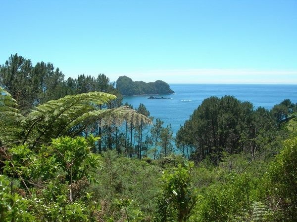 Along the Cathedral Cove trail