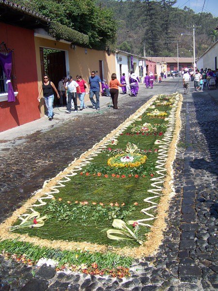 A pine-based Alfombra