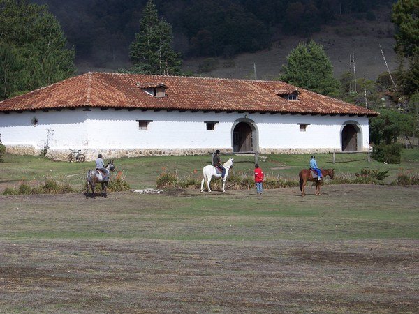 The stables of Unicornio Azul