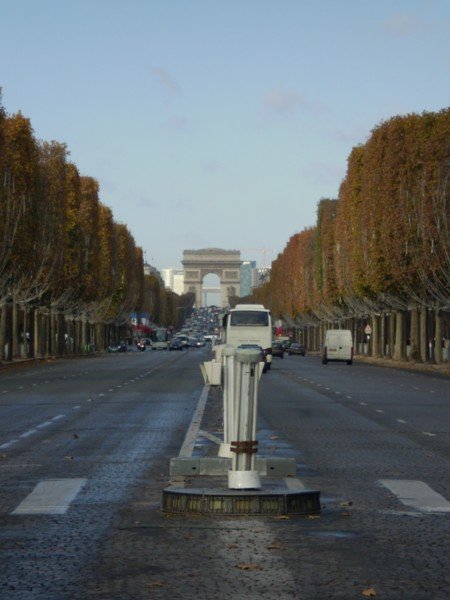 Avenue des Champs Elysee