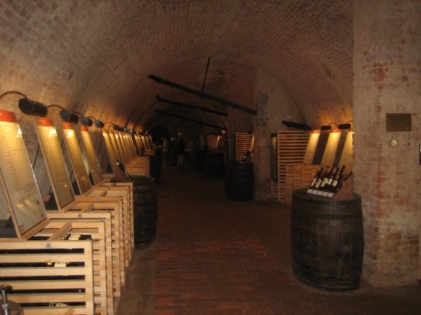 At the cellar in the Valtice chateau