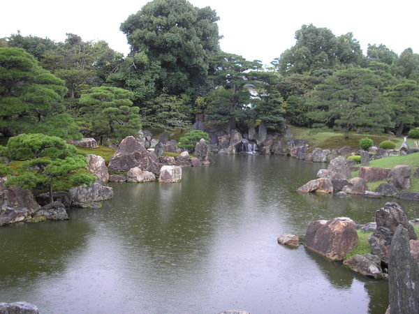 Shogun's backyard