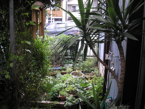 Fukutomi's small garden