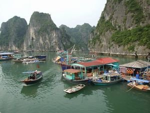 Floating village - Ha Long Bay