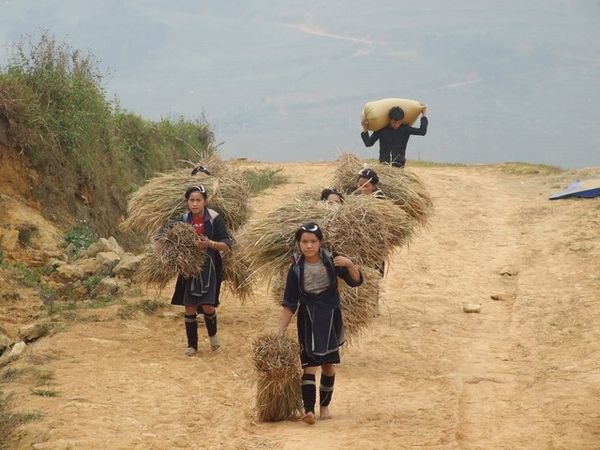 Daily chores in Ta Van village