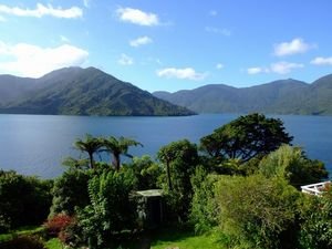 View from Noelene's balcony on the Queen Charlotte track