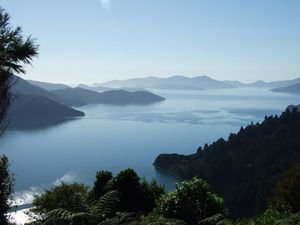 View from the Queen Charlotte track
