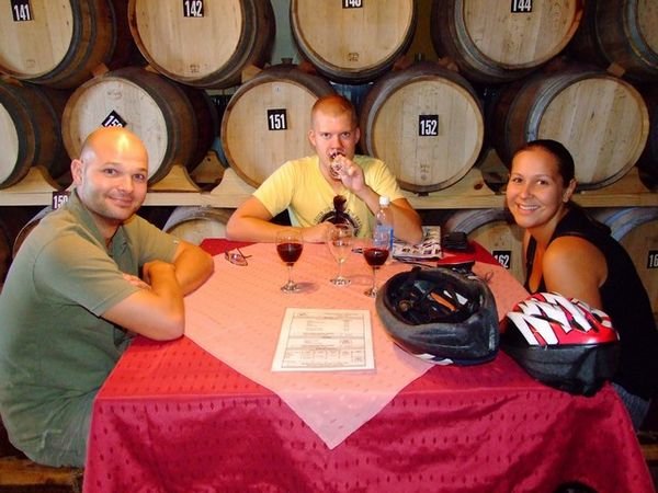 Wine tasting in Mendoza