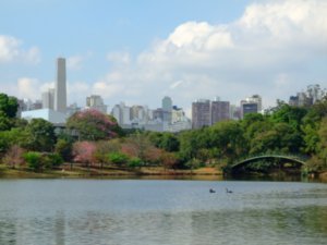 Sao Paulo from one of the many parks