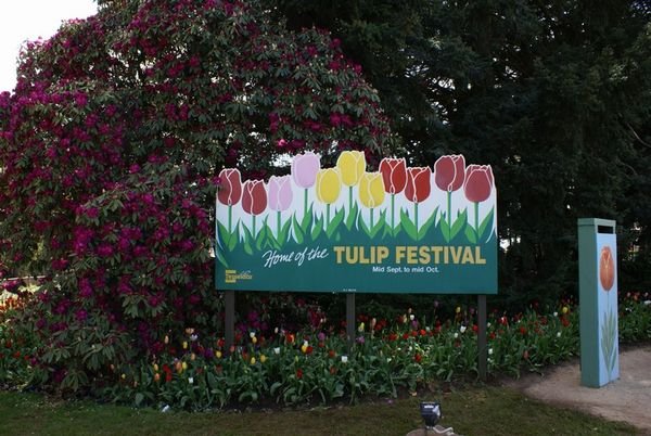 Entrance to tulip festival